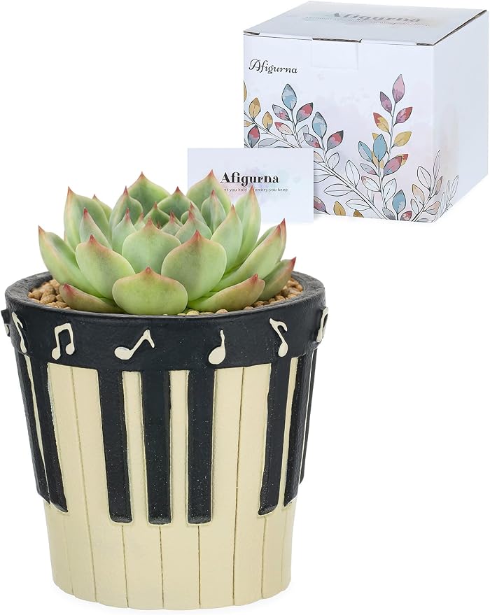 Piano Gifts for Music Lovers: Music Gifts for Women Men Piano Players Musicians – Musical Decor Present Gift Ideas on Birthday Christmas Valentine's Day