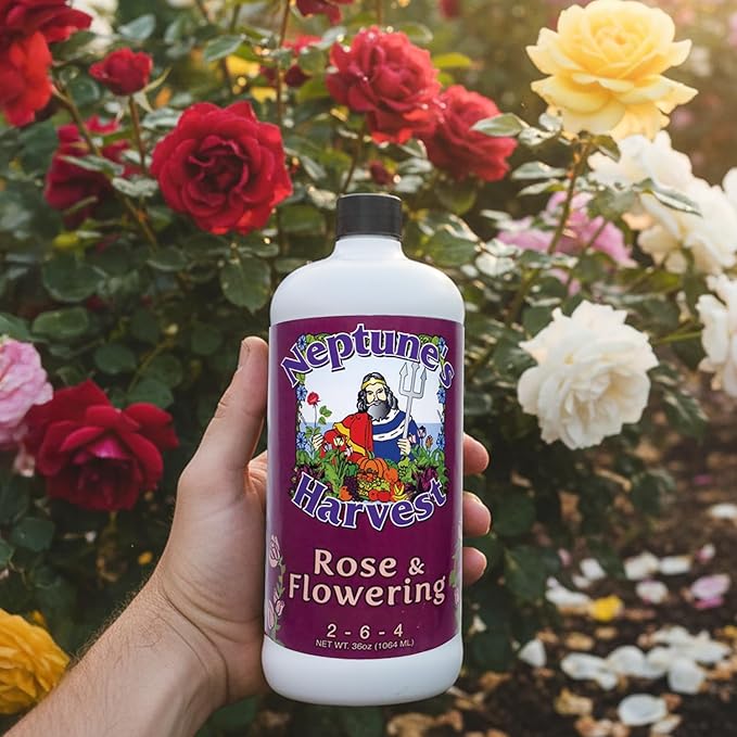 Neptune's Harvest Rose & Flowering Fertilizer (2-6-4) - 36oz Bottle - Organic Liquid Food for Vibrant Blooms & Growth - Promotes Healthy Foliage - Ideal Fertilizer for Indoor & Outdoor Use