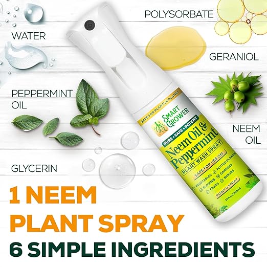 Neem Oil Spray for Plants with Peppermint Oil, Natural Plant Wash Made for Indoor and Outdoor Plants Smart Grower 10oz Easy Ready-to-Use Fine-Mist Premium Sprayer