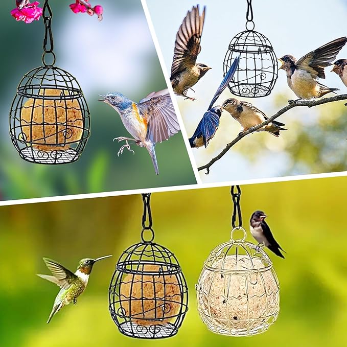 2 Pcs Ball Bird Feeder, Metal Fat Ball Bird Holder, Hanging Wild Bird Feeder Stations with Hooks for Outside Garden Wildlife