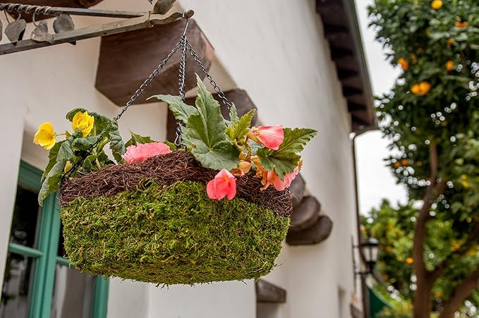 SuperMoss (29212) MossWeave Hanging Basket - Square, Fresh Green with Wicker Rim, Small (10.5 Diameter)"