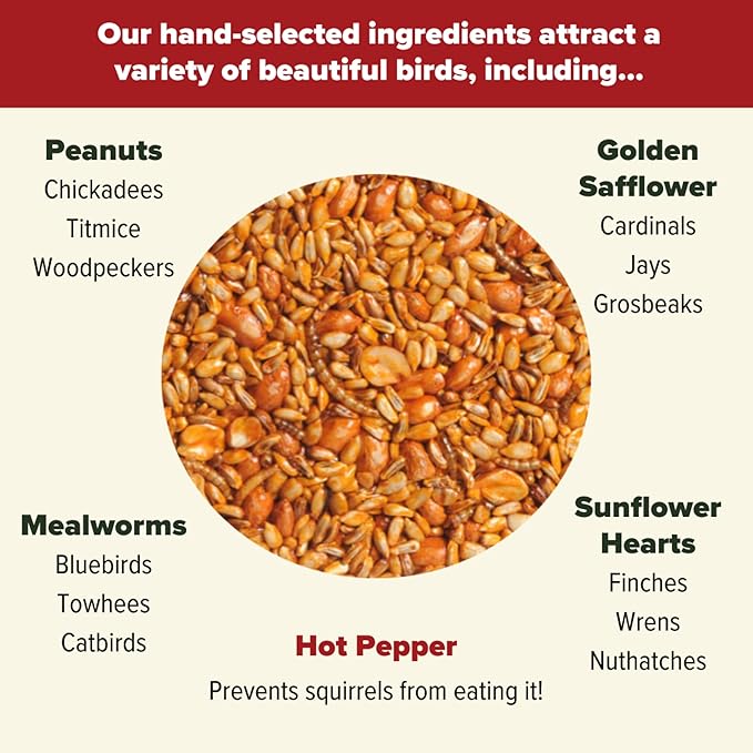 Mr. Bird Flaming Hot Feast Small Loose Seed Bag 2lbs | Hot Pepper Wild Bird Seed for Outside Feeders | Prevent Squirrels | Spicy Bird Food | Backyard Birds