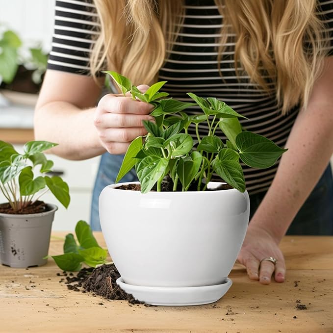 Ceramicfor Ceramic Pot for Plants - 6 Inch Plant Pot for Succulent Plants, Glaze Modern Round Planter with Drainage Hole and Saucer, Gifts for Plant Lovers, Home Office Patio Room Decor, White