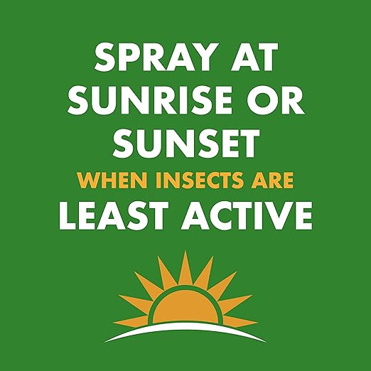 Spectracide Wasp & Hornet Killer Aerosol Kills Wasps, Hornets And Yellow Jackets On Contact & Eliminates The Nest, 12 Pack