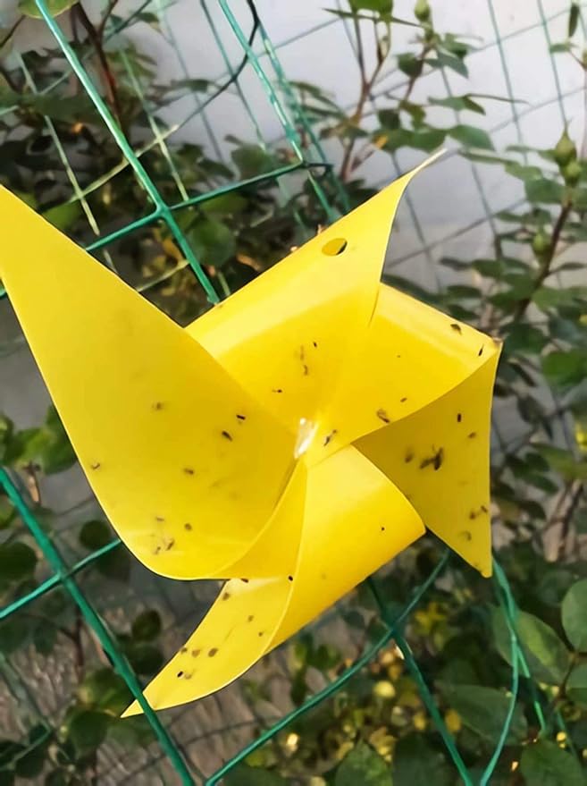 Faicuk 20 Pack Dual Sided Yellow Sticky Traps for Flying Plant Insect Like Fungus Gnats, Aphids, Whiteflies, Leafminers (6x8 Inches, Twist Ties Included)