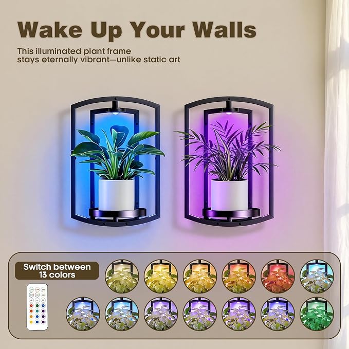 Aisdan Wall Plant Holder, Wall Planters for Indoor Plants with Wireless Remote Lights, Frame Plant Wall Shelves Wall Mounted Plant Holder for Living Room, 2 Pack