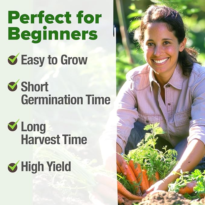 HOME GROWN Tendersweet Carrots Seeds 3000+ Heirloom Non-GMO Seeds for Planting, High Germination, Sweetest Coreless Root Vegetable, Crunchy Summer Garden (Daucus carota subsp. sativus)