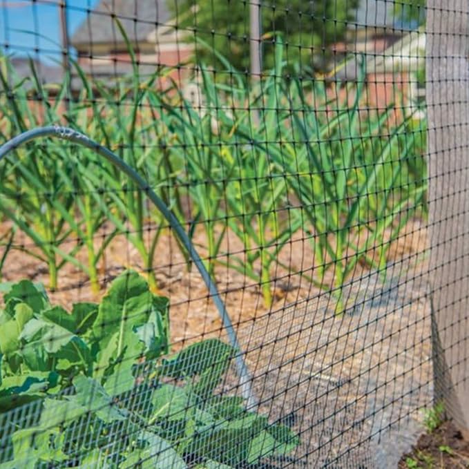 YARDGARD 1/2 Inch Mesh Welded Wire Fence, Hardware Cloth, 19 Gauge Galvanized Steel for Garden Protection, Cage Fencing, Chicken and Rabbit Barriers, and Crafts, 24 Inches x 50 Feet