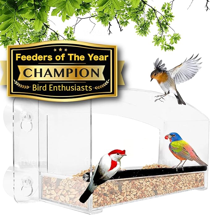 Nature Gear Acrylic Clear Window Bird Feeder with Strong Suction Cups, Removable Sliding Seed Tray, Weather-Resistant & Easy to Clean for Window Viewing, Earth-Friendly Dome