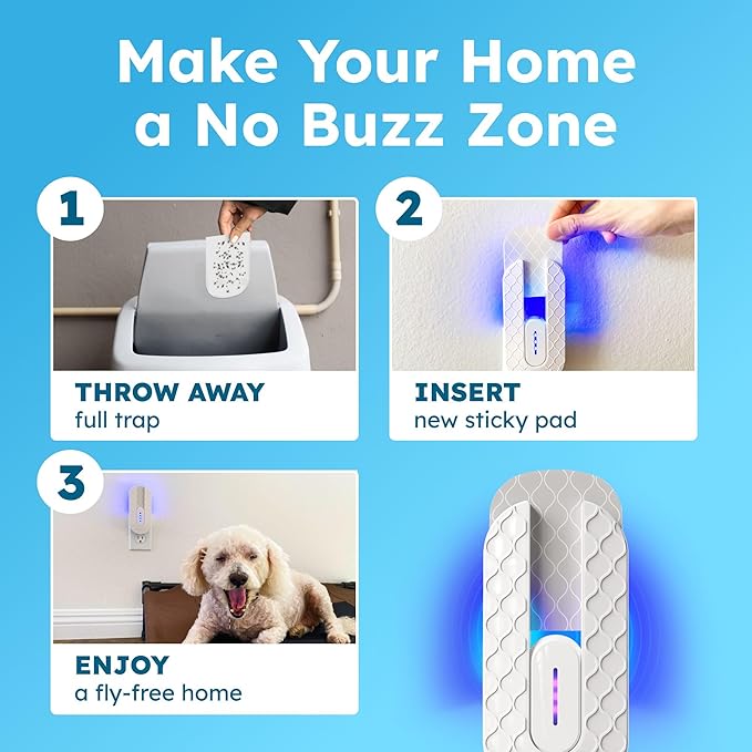 BugMD No Buzz Zone Fruit Fly Traps for Indoors with Honey Scent Bait & UV Light – Gnat Traps for House Indoor, Plug In Fly Trap Indoor, Bug Zapper Alternative, Mosquito Trap for Home
