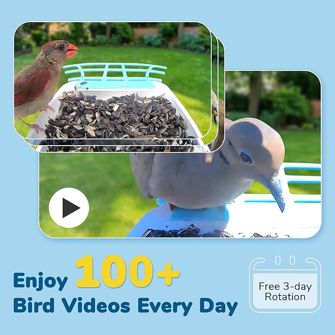 Twesync Bird Feeder with Camera, 2K HD Video Capture, 5000mAh Battery with Solar Panel, Instant Arrival Alerts, Live View, AI Species Identification, Perfect for Bird Lovers