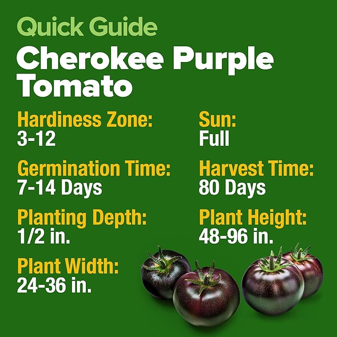 HOME GROWN Cherokee Purple Tomato Seeds 212+ Heirloom Non-GMO Seeds for Planting, High Germination, Indeterminate Beefsteak, Rich Smoky Flavor, Slicing Tomato for Garden (Solanum lycopersicum)