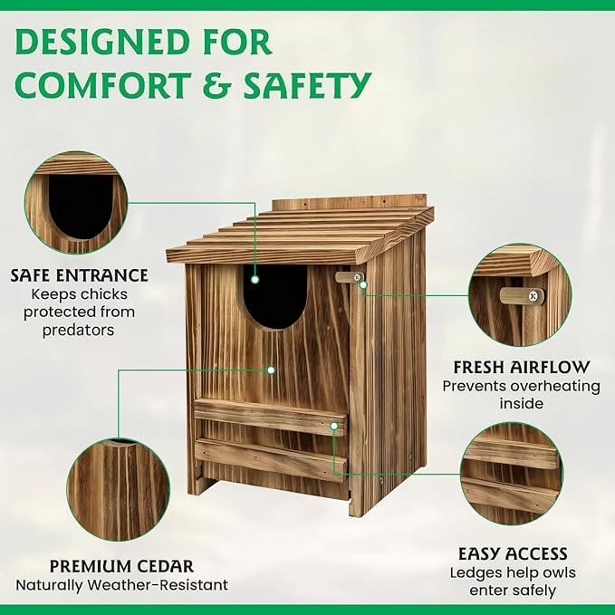 Pine Wood Owl Nesting Box with Shavings for Screech Owls & American Kestrels, 14" x 9" x 9" Outdoor Owl House, Weatherproof, Durable & Easy to Install, Charred Brown Color