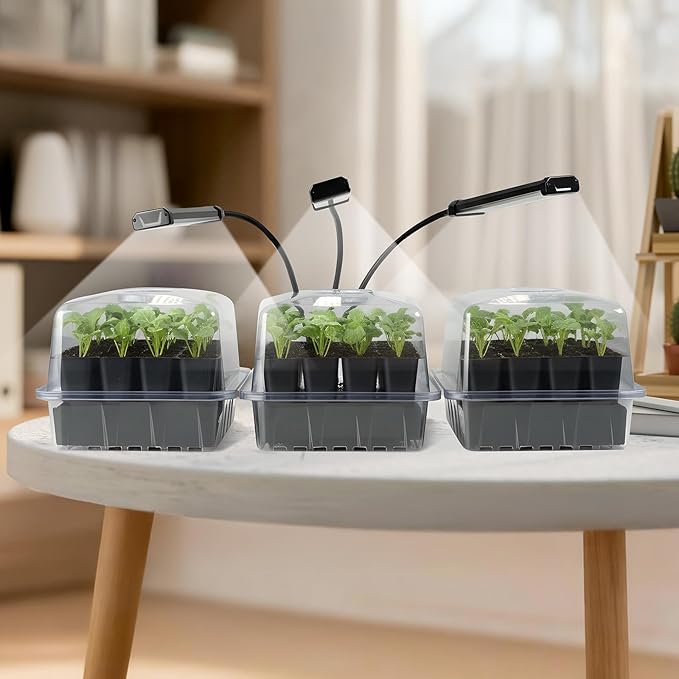 SOLIGT 144 Cell Self Watering Seed Starter Trays with 2 Grow Lights, 6 Seed Starter Kit with Humidity Domes, Full Spectrum Seedling Light with 8/12/18H Timer for Seed Starting, Seedling Growing