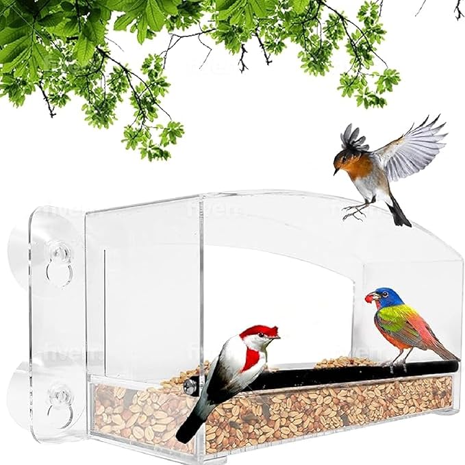 Nature Gear Acrylic Clear Window Bird Feeder with Strong Suction Cups, Removable Sliding Seed Tray, Weather-Resistant & Easy to Clean for Window Viewing, Dome
