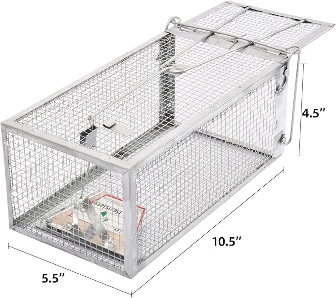 Kensizer Humane Rat Trap, Chipmunk Rodent Trap that Work for Indoor and Outdoor Small Animal - Mouse Voles Hamsters Live Cage Catch and Release 1-Pack Small 10.5" L x 5.5" W x 4.5" H