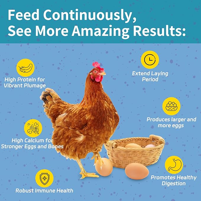 5LB Dried Black Soldier Fly Larvae for Chickens - 85X More Calcium Than Mealworms for Strong Eggshells, High-Protein Chickens Treats for Laying hens, Birds, Ducks