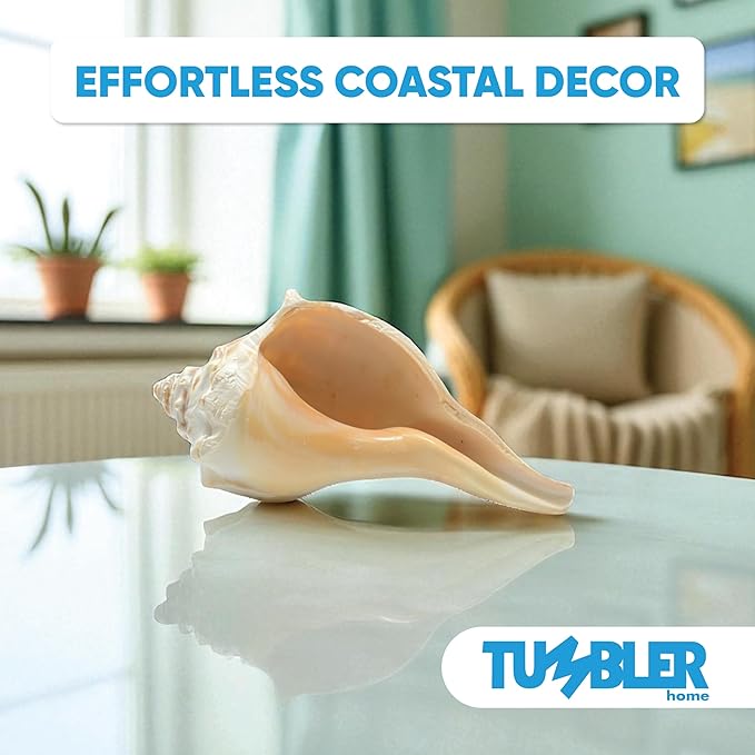 Tumbler Home Large Conch Sea Shells for Decorating or Fish Tank, Coastal & Nautical Decor, Air Plant Holder, Aquarium Ornaments, Big Sea Shell, Decorative Seashells, Beach Party Decor (Whelk)