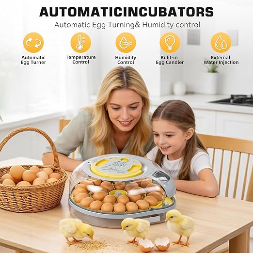 IBKINXX 26 Egg Incubator for Hatching Eggs with Smart Voice Guidance, 360° View with Automatic Temperature & Humidity Control, Auto Egg Turning & Built-in Egg Candler for Chicken, Duck, Goose & Quail