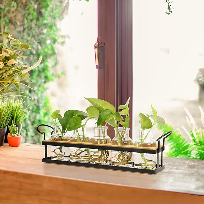 THYGIFTREE Desktop Plant Propagation Stations, Tabletop Retro Plant Terrarium for Indoor Hydroponic Plants Flowers, Plant Lover Gifts