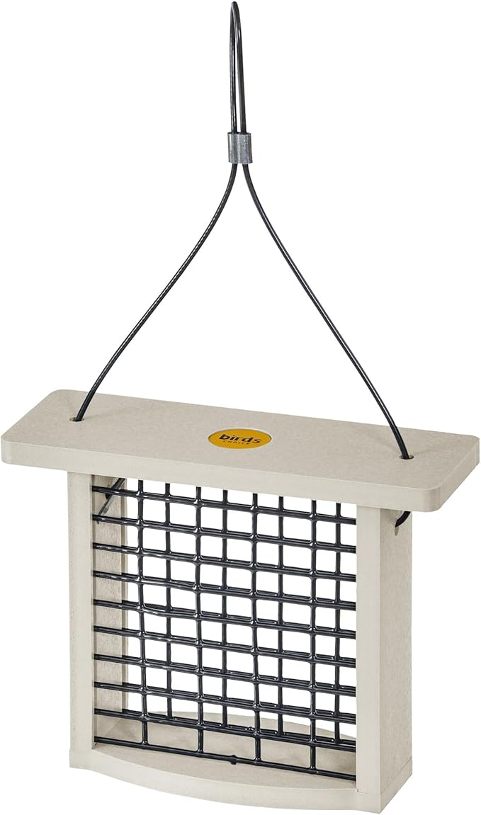 Birds Choice Suet Feeder for Single Cake | Recycled Plastic Suet Feeder for Outside Hanging | 7.5" L x 3" W x 6" H | Made in USA | Sea Salt