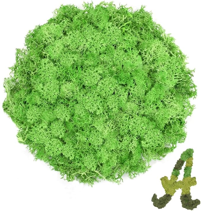 Preserved Reindeer Moss 3.5 OZ Green Natural for Crafts, DIY Gift Christmas Decor, Wall Art, Potted Plants, Floral Fake Moss for Easter Table Decor Wedding Decorative(3.5 OZ, Green)