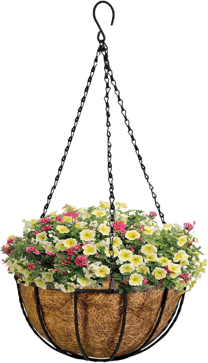 Kingbuy 8" Metal Hanging Basket for Small Succulents & Herbs – 5" Depth Rust-Resistant Wire with Coconut Liner & Chain for Kitchen Window, Balcony & Small Spaces - 1 Pack