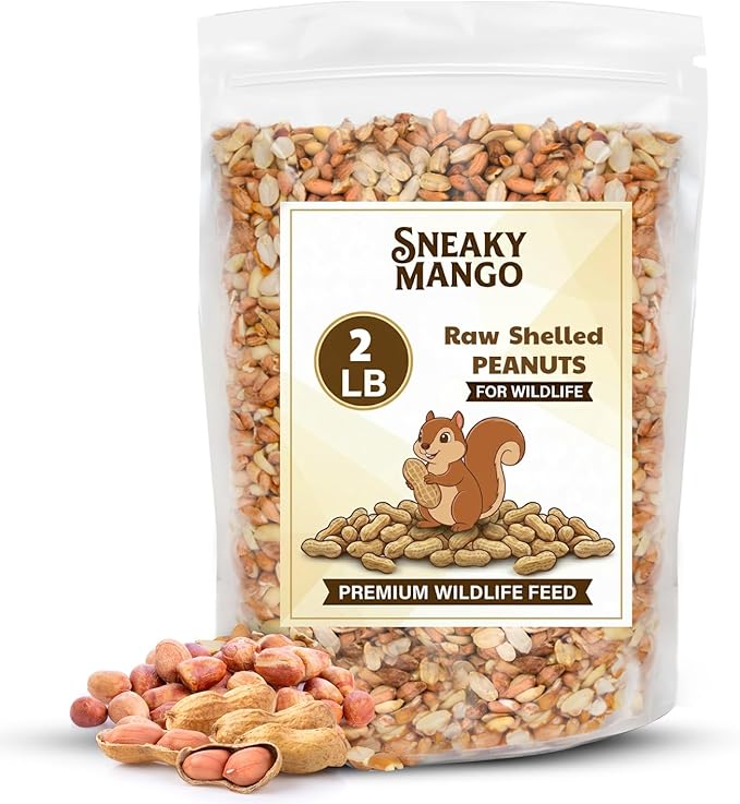 Sneaky Mango Raw Out of Shell Peanuts - 2 Pounds - Shelled Peanuts for Birds – Wildlife Quality - Food for Squirrels, Deer, Birds, and Other Wildlife Animals – Grown in The USA
