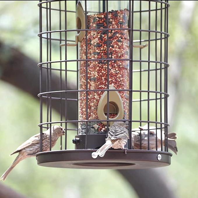 Mosloly Caged Bird Feeders Metal - 3 Lbs - Squirrel-Proof Wild Bird Feeders, Clear Tube Feeders Hanging Outside Starling Proof, Detachable Cleaning, 4 Feed Ports(Copper)