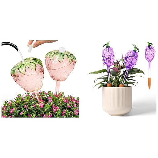 2pcs Strawberry and 3pcs Grape Watering Globes with 2 Terracotta Spikes