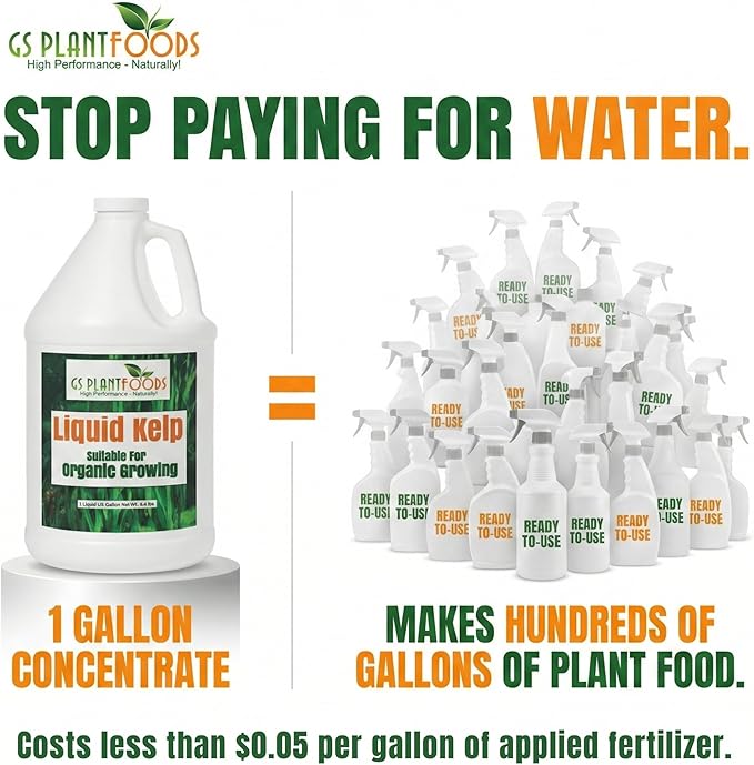 GS Plant Foods Liquid Kelp Fertilizer – Suitable for Organic Growing, OMRI Listed Seaweed Concentrate for Lawns, Gardens & Soil - 55 Gallons