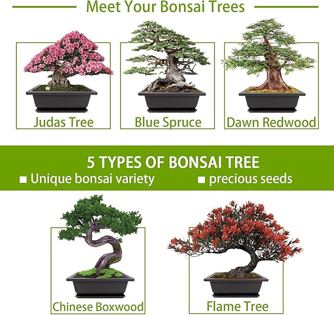 Meekear Bonsai Tree Kit with Complete Plant Growing Tools, Grow in Pot Indoor Bonsai Tree Starter Kit, Home Gardening DIY Gift for Adult