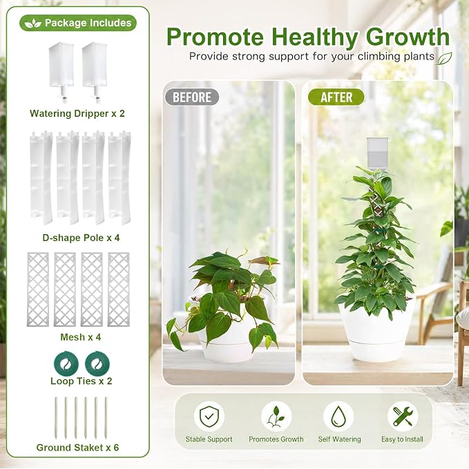 GJL Self Watering Moss Pole for Monstera, Stackable Clear D Shape Moss Pole with Watering Dripper, Indoor Climbing Plant Support for Pothos and Philodendron