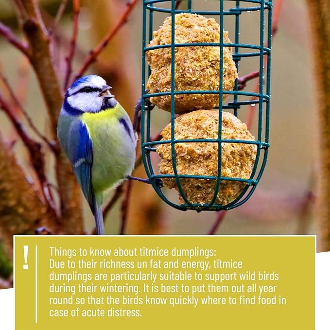 Wildtier Herz | Fat Ball Holder 12" - 5 Year Guarantee - Made of Rustproof Metal Bird Feeding Station for Fat Balls - Ecological Bird Feeder (31cm, Stainless Steel)