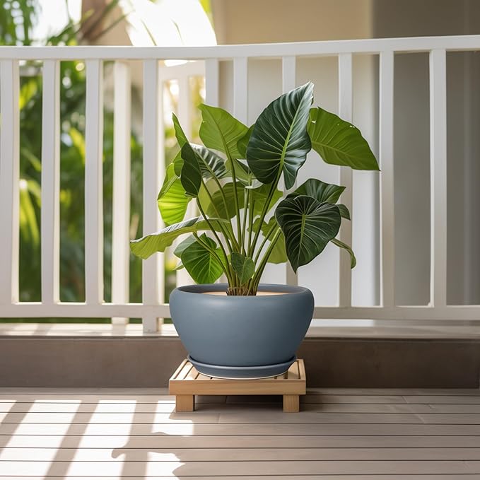 Ceramicfor Ceramic Plant Pot - 11 Inch Planter for Indoor Plants Large Plant Pot with Drainage Hole and Saucer Round Outdoor Planter Modern Flower Pot for Home Decor Gray
