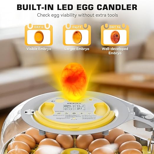 IBKINXX 26 Egg Incubator for Hatching Eggs with Smart Voice Guidance, 360° View with Automatic Temperature & Humidity Control, Auto Egg Turning & Built-in Egg Candler for Chicken, Duck, Goose & Quail