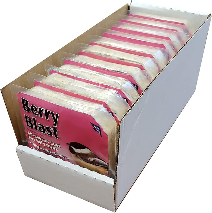 Heath Outdoor Products DD15-10, Berry Blast - 10 Pack