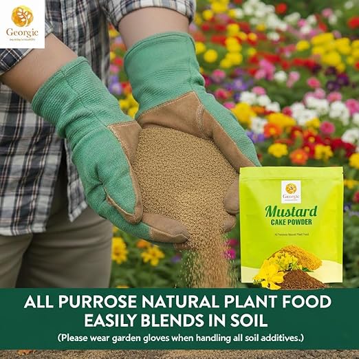 Mustard Oil Cake Powder – All-Purpose Natural Fertilizer for Flowers, Vegetables, Herbs, Fruit Trees & Plants – Natural Cold-Pressed Plant Food and Soil Conditioner – Booster for Lush Growth (3 lb)