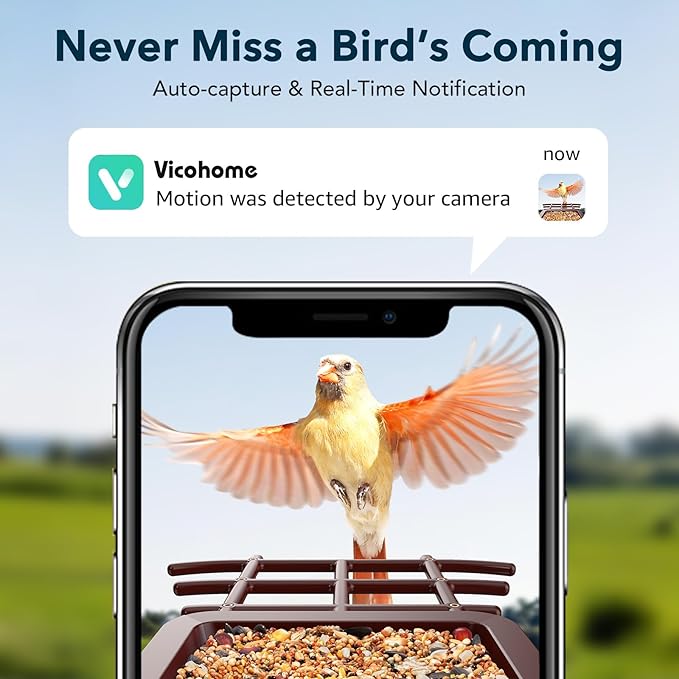 PeckCam® Bird Feeder with Camera Solar Powered, AI Identify & Auto Capture, 2K HD Live Video Smart Bird Feeder Camera Instant Notifications in Backyard, Gift Bird Lovers