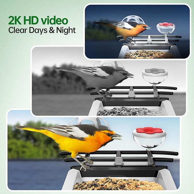 Smart Bird Feeder with Camera - Solar Powered Bird Watching Camera with 2K HD Live View, Auto Capture & AI Identify 10,000+ Species, 2.4G WiFi Outdoor Birdhouse, Ideal Gifts for Bird Lovers