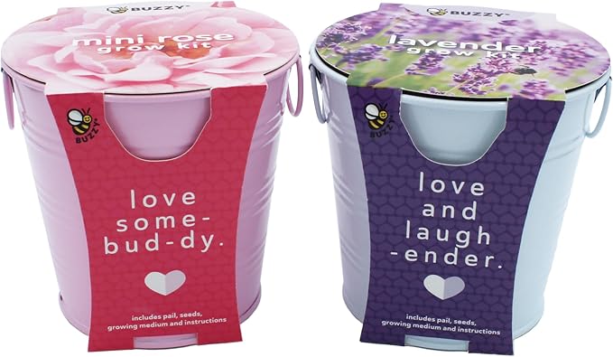 BUZZY Seeds Love Pails Grow Kit, 2-Pack – Valentine’s Day Mini Garden Gift with Colorful Pails, Mini Rose & Lavender Seeds, Growing Medium Included, Indoor Starter Seed Kit