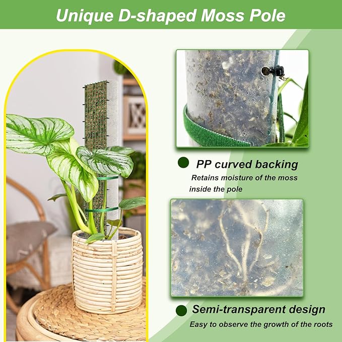 60"/40"/24" Metal Moss Pole, 6 Pack D Shape Sphagnum Moss Pole, Moss Poles for Climbing Plants, Monstera, Indoor Climbing Plants (2 Each of 60" 40" 24")
