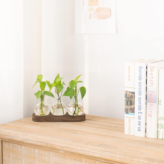 Mkono Plant Propagation Tubes, 3 Tiered Wall Hanging Terrarium with Wooden Stand Flower Vase Glass Planter Stations for Hydroponic Home Garden Office Decor Plant Lover Gift