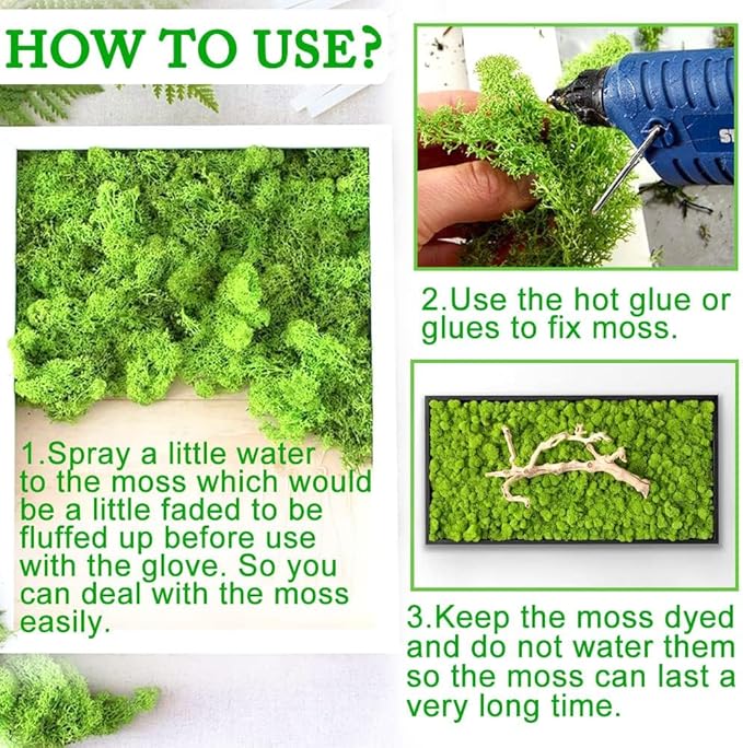 Preserved Reindeer Moss 17.6 OZ Green Natural for Crafts, DIY Gift Christmas Decor, Wall Art, Potted Plants, Floral Fake Moss for Easter Table Decor Wedding Decorative(1.1 LB, Green)
