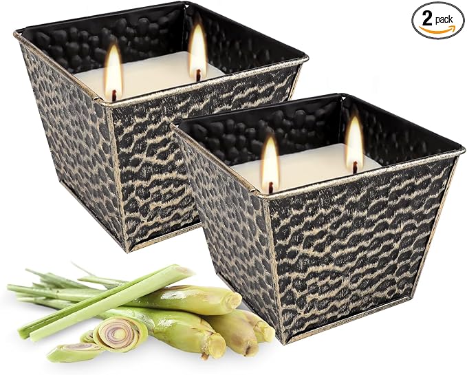 2Pcs Citronella Candles Outdoor Indoor-Large 12oz Scented 50H Long Lasting Summer Candle Bulk for Home Decor, Garden,Party,Backyard & Camping(2-Wick)