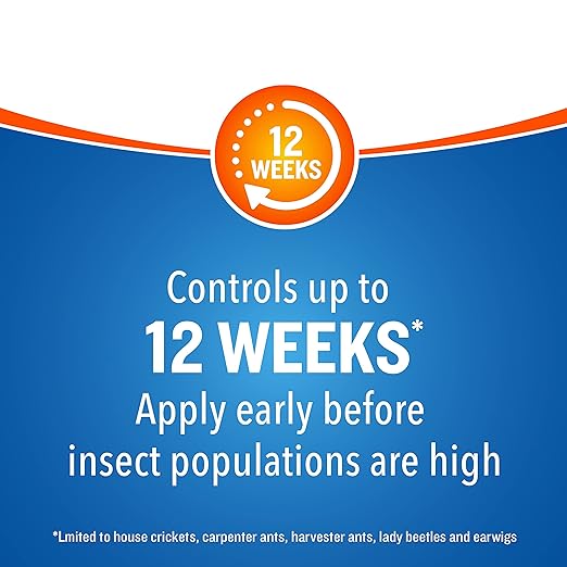 Cutter Backyard Bug Control Spray Concentrate (6 Pack), Kills Mosquitoes, Fleas & Listed Ants, 32 fl Ounce
