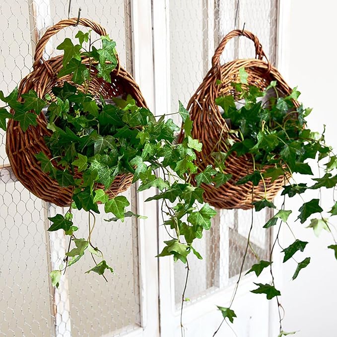 Wall Hanging Flower Basket, Handmade Wicker Hanging Basket for Plant Wall Mount Rattan Chlorophytum Comosum Hanging Basket for Front Door, Home, Garden. (S)