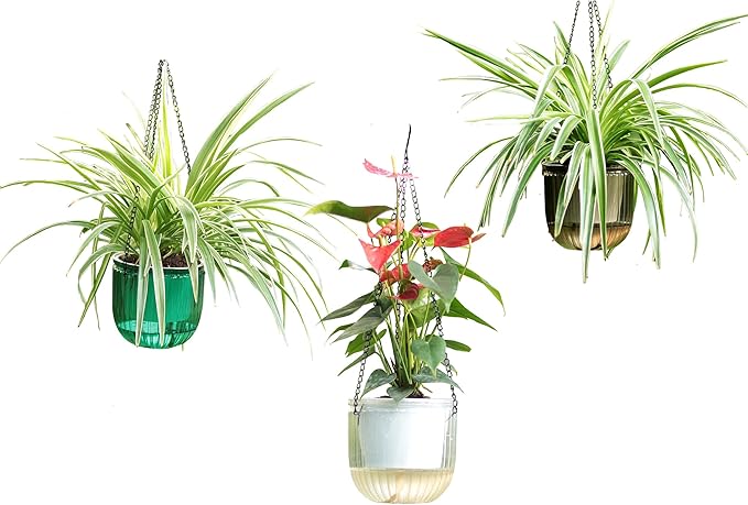 Cornasee 6.5" Plastic Hanging Planter, 3-Pack Self Watering Pots for Indoor Plants,Herbs,Succulent,African Violets (Gray+Green+Clear)