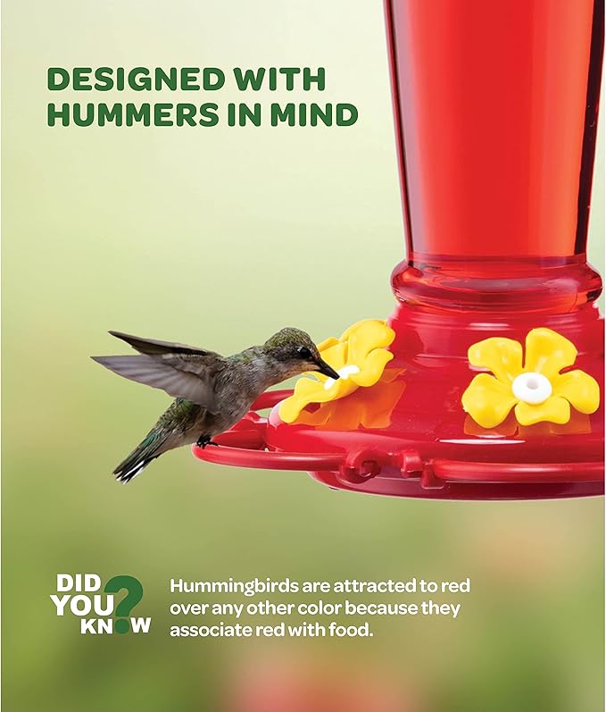 Hummingbird Feeder 10 oz. Plastic Hummingbird Feeders for Outdoors, with Built-in Ant Guard - Circular Perch with 5 Feeding Ports - Wide Mouth for Easy Filling/2 Part Base for Easy Cleaning