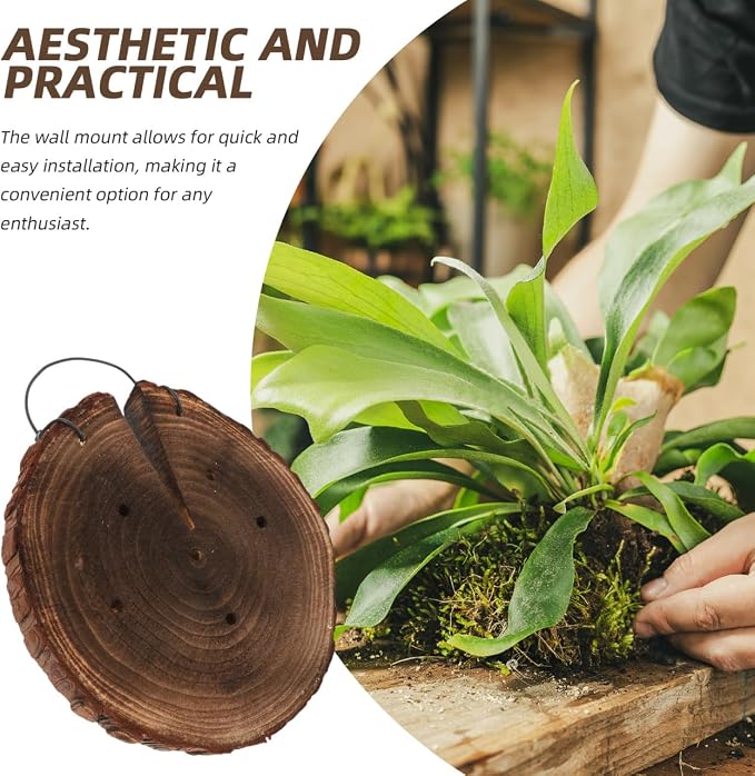 DOITOOL Fern Wall Mount Board Hanging Wall Planter for Indoor Outdoor Plants Rustic Decor for Home Garden 8.66 X 7.08 X 1.02 in 1 Pack